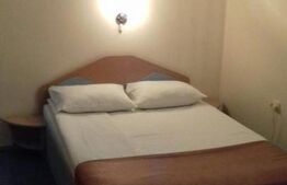 Pensiune de 370 mp utili, 514 mp teren, Gruia