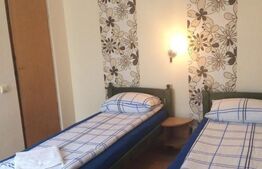 Pensiune de 370 mp utili, 514 mp teren, Gruia