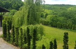 Investitie ! Casa de vacanta 350 mp utili ,teren 3000 mp in Faget !