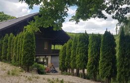 Investitie ! Casa de vacanta 350 mp utili ,teren 3000 mp in Faget !