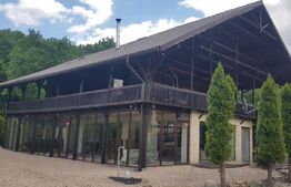 Investitie ! Casa de vacanta 350 mp utili ,teren 3000 mp in Faget !