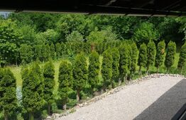 Investitie ! Casa de vacanta 350 mp utili ,teren 3000 mp in Faget !