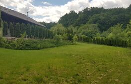 Investitie ! Casa de vacanta 350 mp utili ,teren 3000 mp in Faget !