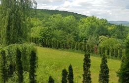 Investitie ! Casa de vacanta 350 mp utili ,teren 3000 mp in Faget !