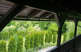 Investitie ! Casa de vacanta 350 mp utili ,teren 3000 mp in Faget !