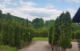 Investitie ! Casa de vacanta 350 mp utili ,teren 3000 mp in Faget !