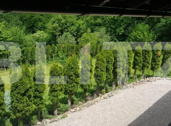 Casa de vânzare 5 camere Făget - 148332CV | BLITZ Cluj-Napoca | Poza5