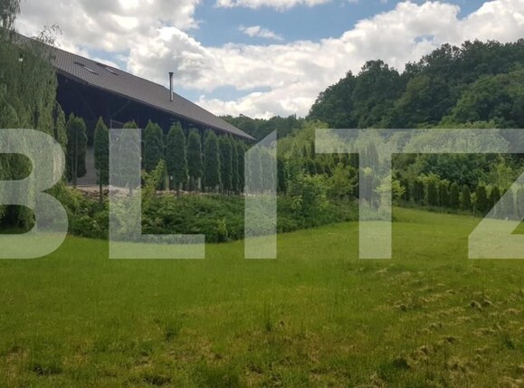 Casa de vânzare 5 camere Făget - 148332CV | BLITZ Cluj-Napoca | Poza8