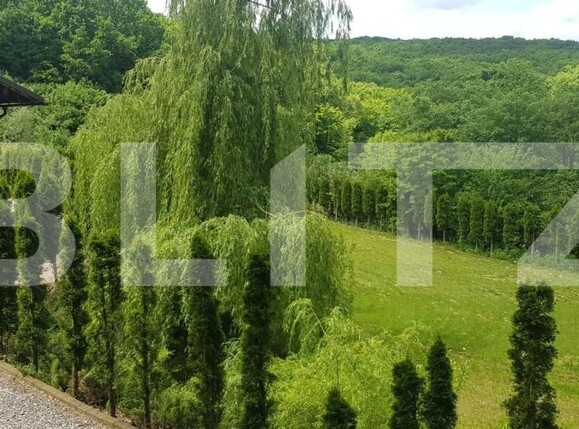 Casa de vânzare 5 camere Făget - 148332CV | BLITZ Cluj-Napoca | Poza9