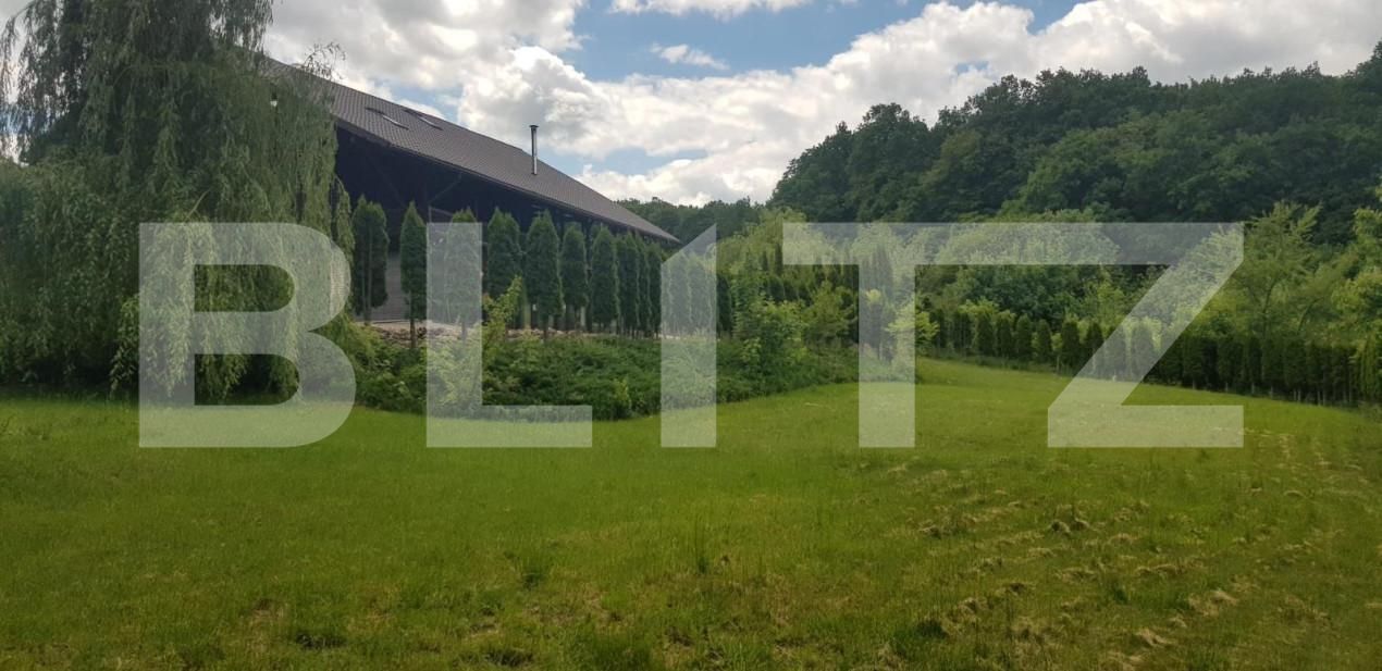 Casa de vânzare 5 camere Făget - 148332CV | BLITZ Cluj-Napoca | Poza8