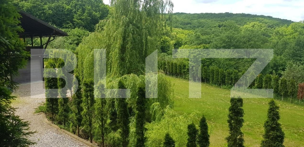 Casa de vânzare 5 camere Făget - 148332CV | BLITZ Cluj-Napoca | Poza9