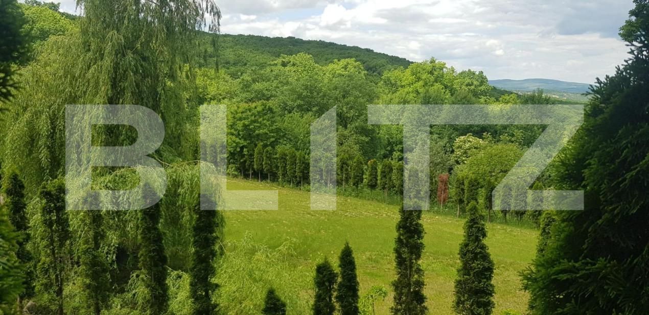 Casa de vânzare 5 camere Făget - 148332CV | BLITZ Cluj-Napoca | Poza4