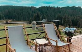 Proprietate deosebita, cabana in stil scandinav, 250 mp utili, Belis