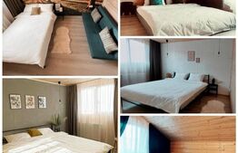 Proprietate deosebita, cabana in stil scandinav, 250 mp utili, Belis