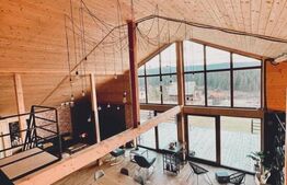 Proprietate deosebita, cabana in stil scandinav, 250 mp utili, Belis