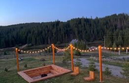 Proprietate deosebita, cabana in stil scandinav, 250 mp utili, Belis