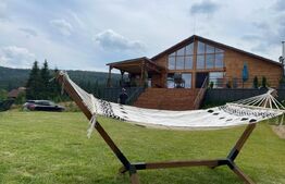 Proprietate deosebita, cabana in stil scandinav, 250 mp utili, Belis