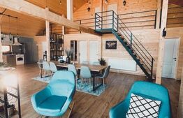 Proprietate deosebita, cabana in stil scandinav, 250 mp utili, Belis