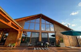 Proprietate deosebita, cabana in stil scandinav, 250 mp utili, Belis