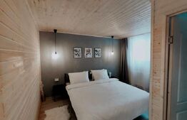 Proprietate deosebita, cabana in stil scandinav, 250 mp utili, Belis