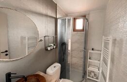 Proprietate deosebita, cabana in stil scandinav, 250 mp utili, Belis