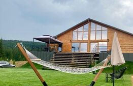 Proprietate deosebita, cabana in stil scandinav, 250 mp utili, Belis