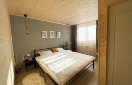 Proprietate deosebita, cabana in stil scandinav, 250 mp utili, Belis