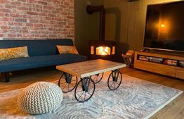 Proprietate deosebita, cabana in stil scandinav, 250 mp utili, Belis