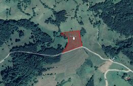 Teren 9648 mp, priveliste superba, Poiana Marului!