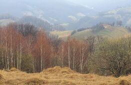 Teren 9648 mp, priveliste superba, Poiana Marului!