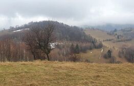 Teren 9648 mp, priveliste superba, Poiana Marului!