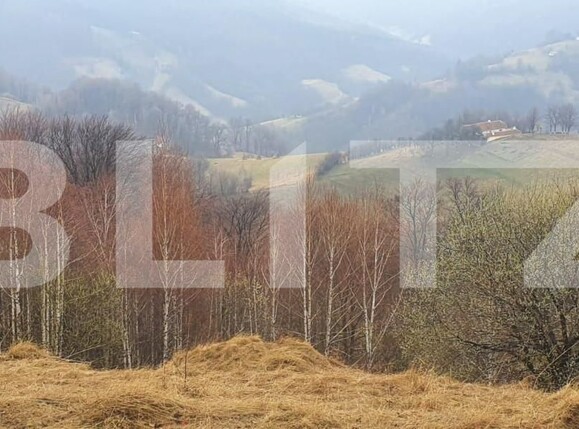 Teren de vânzare Est - 148342TV | BLITZ Brașov | Poza5