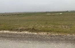 Teren de vanzare Bartolomeu, 1961mp