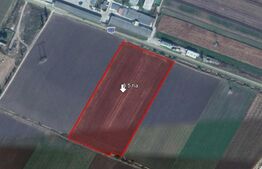 Teren de vanzare Halchiu, 3,5ha