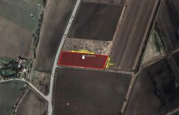 Teren 10.000mp, Calea Feldioarei