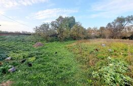 Teren extravilan de 4261 mp, Valea Chintaului