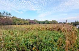 Teren extravilan de 4261 mp, Valea Chintaului