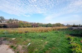 Teren extravilan de 4261 mp, Valea Chintaului