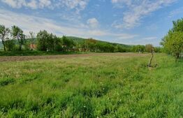 Teren 13000 mp cu casa individuala 80 mp, intrare in Dej