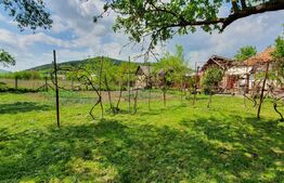 Teren 13000 mp cu casa individuala 80 mp, intrare in Dej