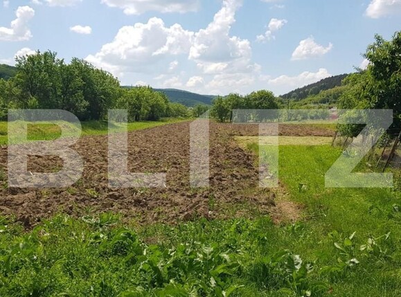 Casa de vânzare 3 camere Exterior Est - 148489CV | BLITZ Cluj-Napoca | Poza2