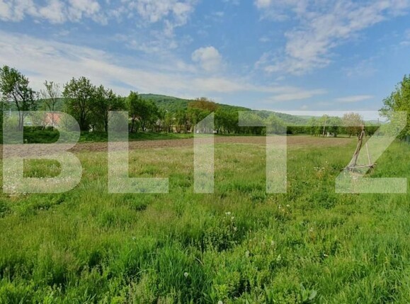 Casa de vânzare 3 camere Exterior Est - 148489CV | BLITZ Cluj-Napoca | Poza3