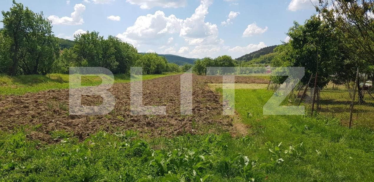 Casa de vânzare 3 camere Exterior Est - 148489CV | BLITZ Cluj-Napoca | Poza2