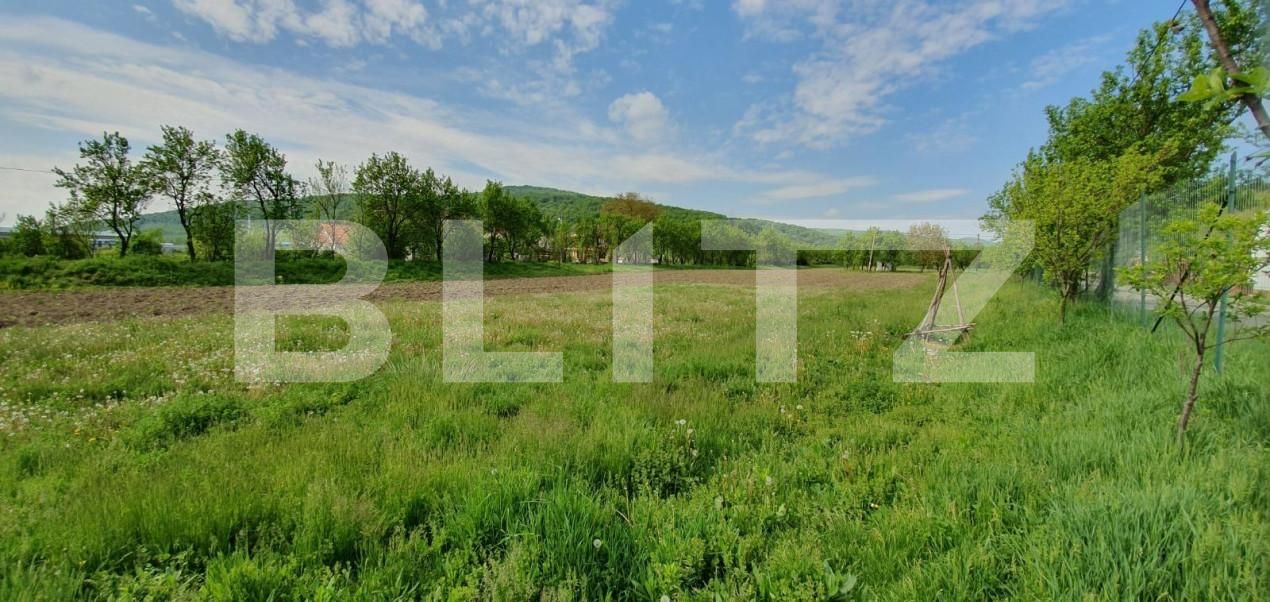 Casa de vânzare 3 camere Exterior Est - 148489CV | BLITZ Cluj-Napoca | Poza3