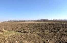 Teren intravilan 10000mp, Bod