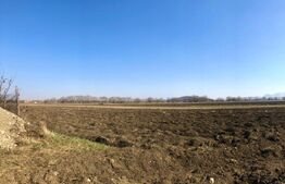 Teren intravilan 10000mp, Bod