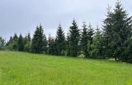 Oportunitate ! Teren extravilan, 4800 mp, Sat Rasca