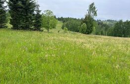 Oportunitate ! Teren extravilan, 4800 mp, Sat Rasca