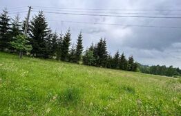 Oportunitate ! Teren extravilan, 4800 mp, Sat Rasca