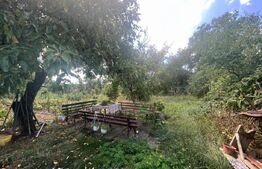 Casa individuala, 200mp, 850 teren, zona Pod Ira